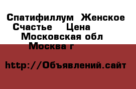 Спатифиллум (Женское Счастье) › Цена ­ 100 - Московская обл., Москва г.  »    